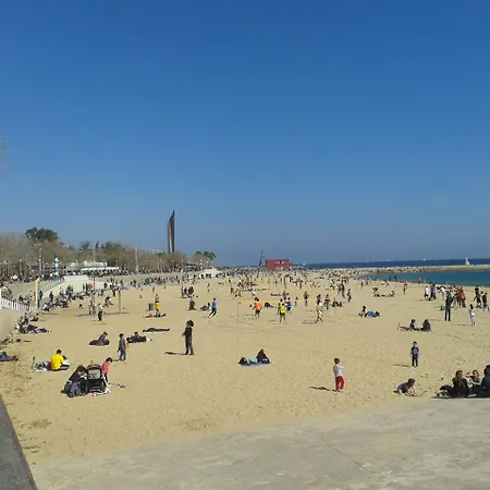 & Olimpica Hotel Barcelona